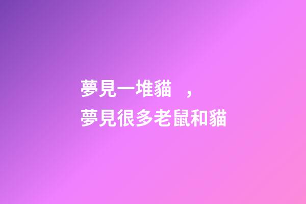 夢見一堆貓，夢見很多老鼠和貓-第1張-觀點-玄機派